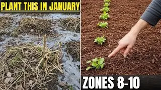 January Gardening Checklist (Zones 8&ndash;10): 12 Things to Do NOW for a Bigger Spring