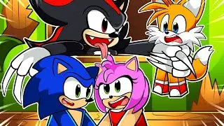 Shadow CAÇOU Sonic no MURDER MISTERY do Roblox