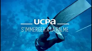 Tutos apn&eacute;e #7 - Comment s'immerger &agrave; la palme