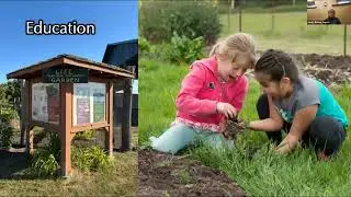 Island-Based Food Sovereignty and &ldquo;Many Small Levers&rdquo; for Community Resilience