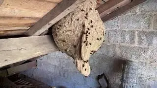 La je vais prendre cher