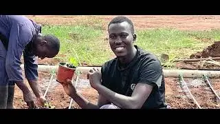 Skills & Leadership Opportunity_BAI Origin Story