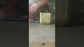 ##cleaning cooking area##@@DM vlog