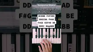 Tutorial 505 | Sempurna Waktu. 🎹 #pianotutorial #suffixpiano #irradzi #sempurnawaktu #shorts