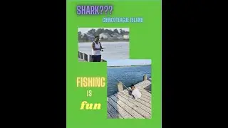 FISHING! We got a SHARK! Meet Charlie and Twinkle! Tom's Cove Park Chincoteague Island, Virginia
