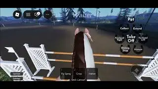 Jumping session with Walter!!