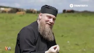 &bdquo;Cu ochii plini de lumina farurilor, cu urechile pline de zgomot, mai putem aprecia simplitatea?&rdquo;