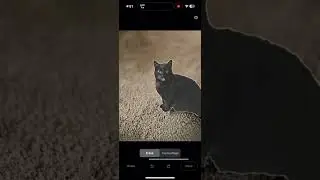 How to get magic eraser on iPhone week 4