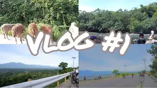 VLOG #1 | Sunday Family Bonding