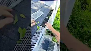 #Gutter Cleaning and more. First vlog with #raybanmeta #ValleyCurbAppealLLC