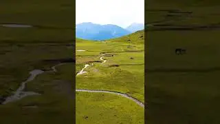 Beshai Top Kalam