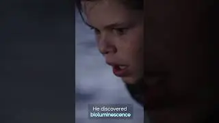 Bioluminescence #science #space #astronomy #universe #earth #documentary