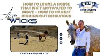 How to Lunge a Horse That Isn't Motivated to Move &ndash; How to Handle Kicking Out Behaviour