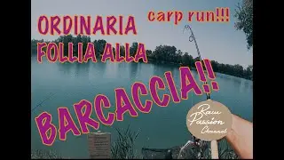 Ordinaria follia alla Barcaccia!!! - Carpfishing