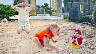 Monkey Luk’s Adorable Jealousy Over a Teddy Bear 🐒