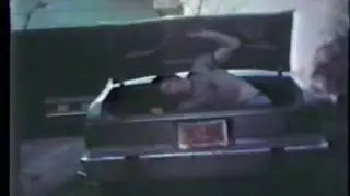 The Shemp Movie_The Flasher