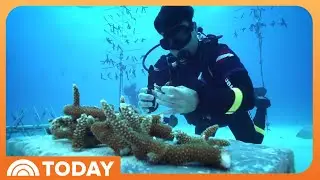 How These Veterans Are Working to Help Marine Conservation