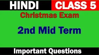 Class 5 Hindi | 2nd Mid Term | Sure Questions | Important Questions | Hindi Winner