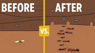 I Became a Slaver Ant for a Day &ndash; Here&rsquo;s What Happened 😱