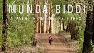 Munda Biddi Trail - Path Through the Forest
