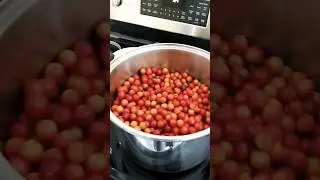 Wild Plum Jelly #jelly #homesteading #homestead #homemade #food #natural