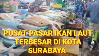 PASAR IKAN LAUT 🐟 TERBESAR, TERLENGKAP SEKOTA SURABAYA