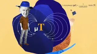 Electric and magnetic fields &ndash; Direct current lines
