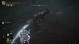 ELDEN RING&trade;Latenna taming and riding a direwolf