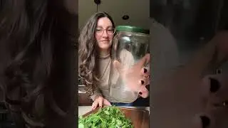 FRESH CILANTRO FOR TWO WEEKS