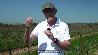 NOUVEAU MELANGE SEMENCES DE FRANCE - ENHERBEMENT