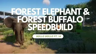 An Enormous Habitat For The Smallest Elephant In The World - Planet Zoo - BOLLO BOLLO pt. 14
