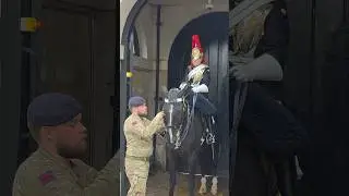 Gentle Care &mdash; The King&rsquo;s Guard Makes Sure His Horse Feels Safe and Comfortable 🐴❤️👑