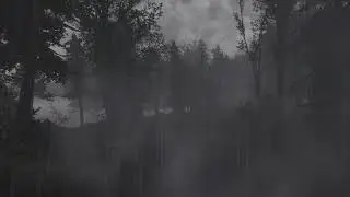 NAC weather mod with Photo-realistic ENB