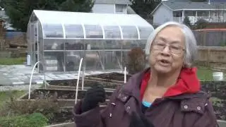 Harmony Garden - Community Food Security Project