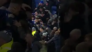 Mykolenko was every EVERTON FAN at full-time! 💙
