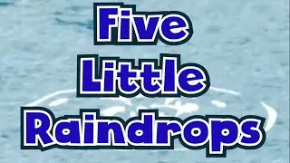 5 Little Raindrops | ASL Songs | Childrens Songs | Learn ASL