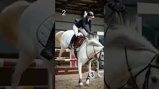 3 epic jumping falls - DONT TRY lol 😂 #horsegirl #equestrian #ai #horse #showjumping #fall