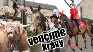Jak se žije na ranči, Venčíme KRÁVY🐮? Nový jezdec