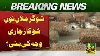 Show Cause Notices Issued to Sugar Mills: Reasons Behind the Action | Pakistan News | Breaking News