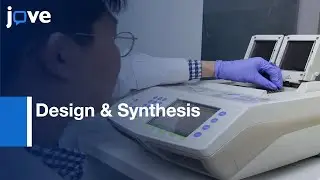 Design & Synthesis Of Reconfigurable DNA Accordion Rack l Protocol Preview