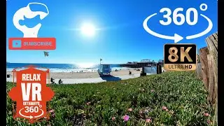 VR 8K Getaway to the Pier at Redondo Beach