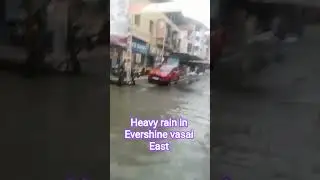 Water logging in vasai East #rain#vasaivirarrain#flood#virar#heavyrain#monsoon