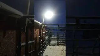 Солнечные светильники Wagan Tech &mdash; это хорошо. #wagantech #solarlights