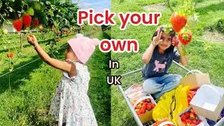 I Went to a REAL LIFE STRAWBERRY FARM in England! strawberry picking| fruit picking farm experience