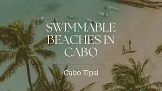The Best Swimming and Surfing Beaches in Los Cabos (Everything You Need to Know)