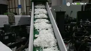 ACS100 PET Flakes Pelletizing machine