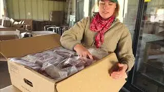 Meet Cloe with Parker Pastures