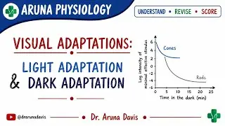 Light & Dark Adaptation|Physiology | First year MBBS
