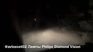 Полевой тест ламп Philips Diamond Vision