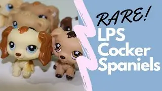 All of my LPS Cocker Spaniels (RARE)